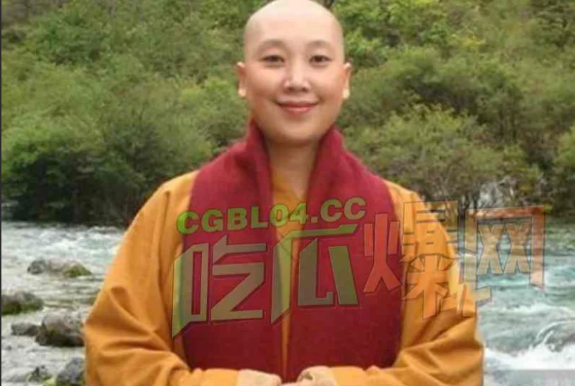 Poster of Địt ni cô vú to lồn không lông