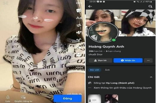 Poster of Hoàng Quỳnh Anh lộ video sex với người yêu